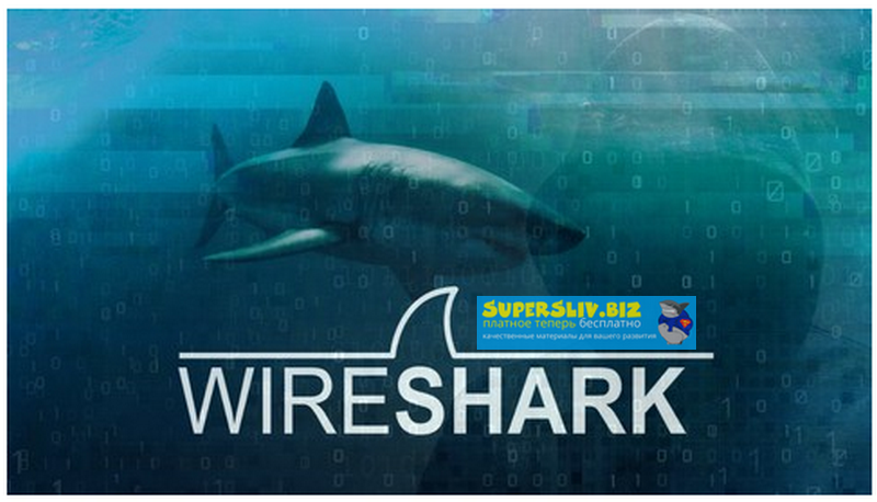 [Udemy] Wireshark_ пакетный анализ и этический взл_0.png